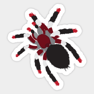 Blood Sucking Tarantula Sticker